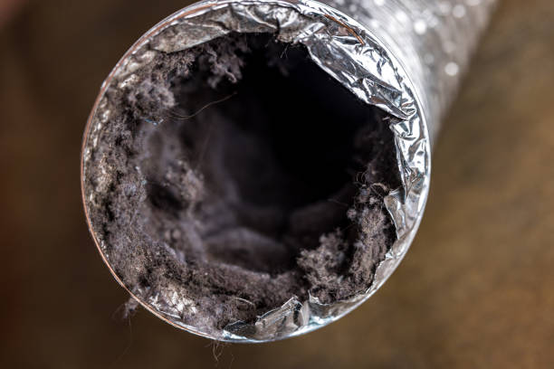 Best Affordable Air Duct Cleaning  in San Gabriel, CA